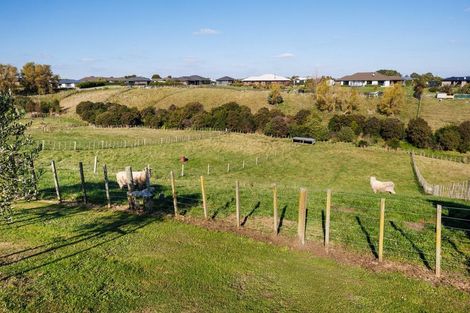 Photo of property in 29 Wapiti Avenue, Feilding, 4775