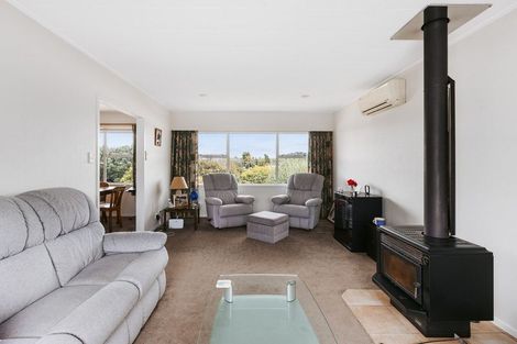 Photo of property in 17 Glenfield Place, Brookfield, Tauranga, 3110