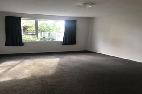 Photo of property in 6/9 Haast Street, Linwood, Christchurch, 8011