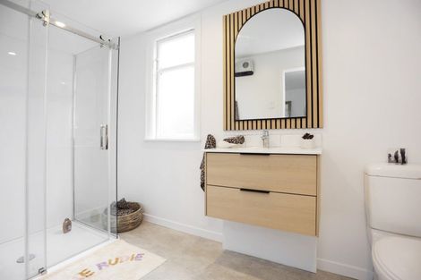 Photo of property in 50 Albert Street, Saint Clair, Dunedin, 9012
