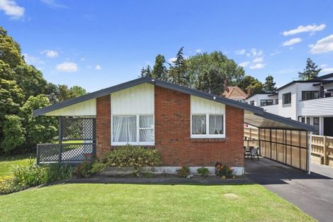 Photo of property in 11u2 Manning Street, Hamilton Central, Hamilton, 3204