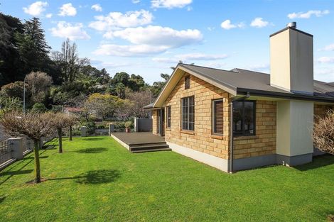 Photo of property in 228 Kirkwood Street, Thames, 3500