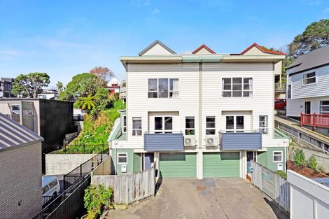 Photo of property in 43b Rolleston Street, Mount Cook, Wellington, 6021
