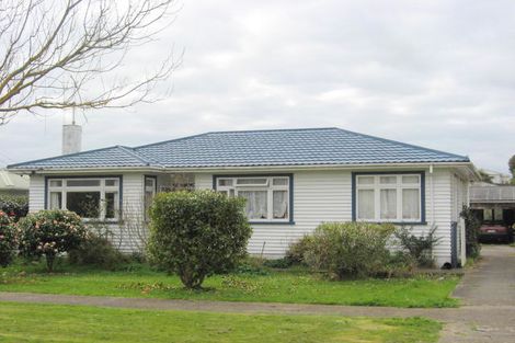 Photo of property in 18 Dudley Street, Levin, 5510