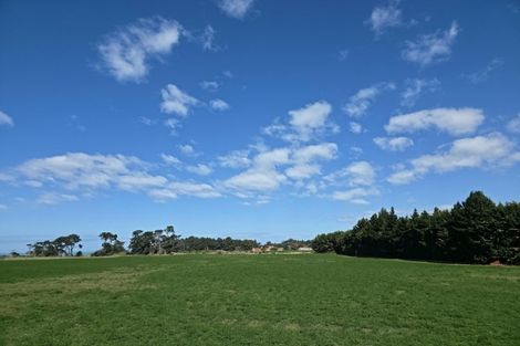 Photo of property in 1a College Street, Oamaru North, Oamaru, 9400