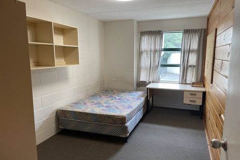 Photo of property in Te Awhina Apartments, 27/22u Sussex Street, Mount Cook, Wellington, 6021