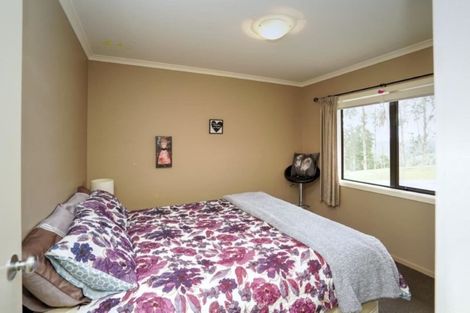 Photo of property in 1239 No 2 Road, Te Ranga, Te Puke, 3182