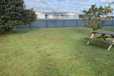 Photo of property in 63 Hinemoa Street, Levin, 5510