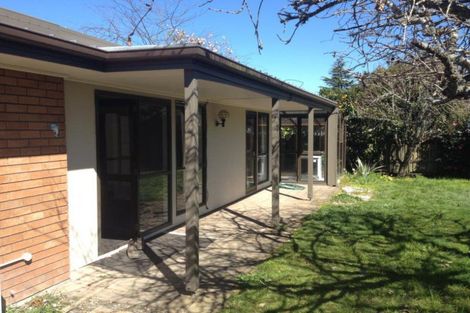 Photo of property in 1 Page Place, Hamilton East, Hamilton, 3216