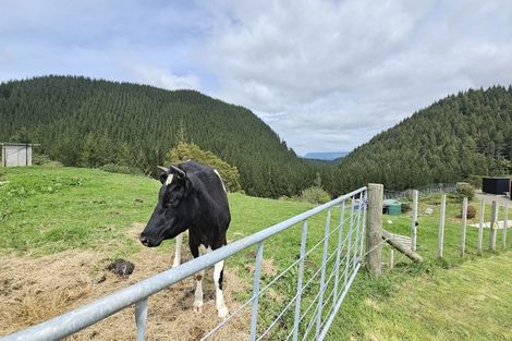 Photo of property in 9 Petes Way, Lynmore, Rotorua, 3076