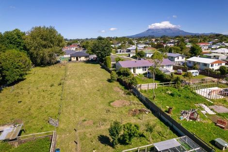 Photo of property in 119 Hamlet Street, Stratford, 4332