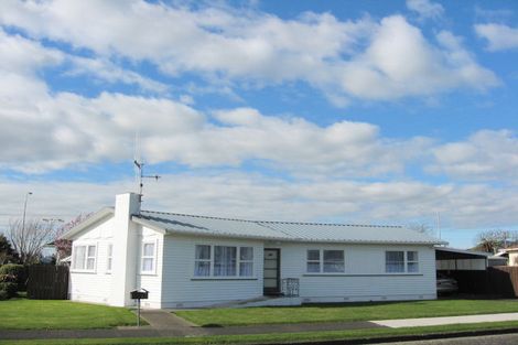 Photo of property in 1 Grey Street, Levin, 5510