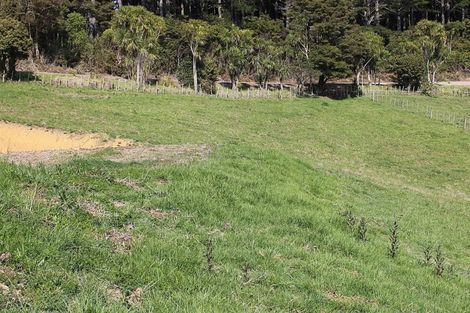 Photo of property in 60 Summer Road, Tinopai, Matakohe, 0593