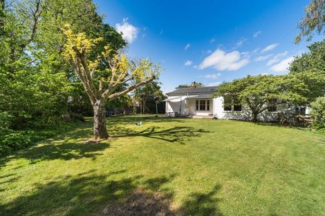 Photo of property in 269 Cambridge Avenue, Ashhurst, 4810