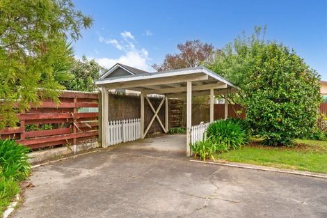 Photo of property in 45 Kitchener Street, Lansdowne, Masterton, 5810