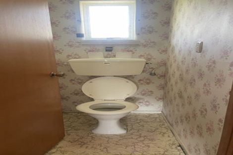 Photo of property in 36 Flaxdale Street, Birkdale, Auckland, 0626