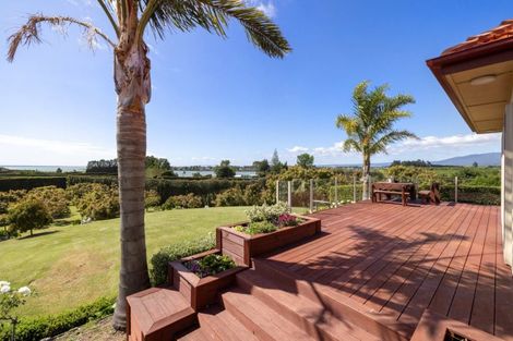 Photo of property in 11b Stokes Road, Tahawai, Katikati, 3170