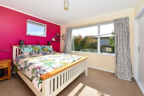 Photo of property in 49 Naylor Street, Hamilton East, Hamilton, 3216