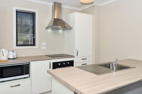 Photo of property in 188u3 Ulster Street, Whitiora, Hamilton, 3200