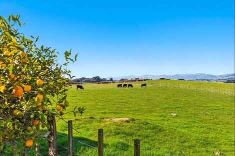 Photo of property in 208 Kukutauaki Road, Koputaroa, Levin, 5575