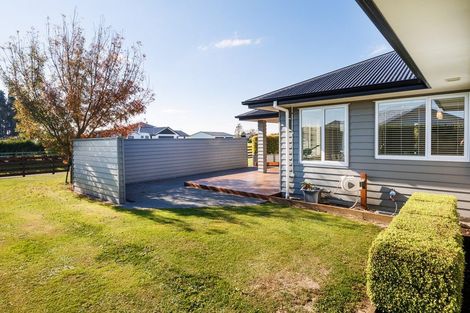 Photo of property in 29 Wapiti Avenue, Feilding, 4775