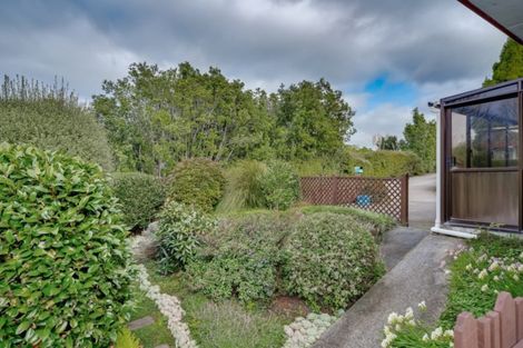 Photo of property in 237 Fifteenth Avenue, Tauranga South, Tauranga, 3112