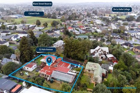 Photo of property in 52 Hain Avenue, Mangere East, Auckland, 2024