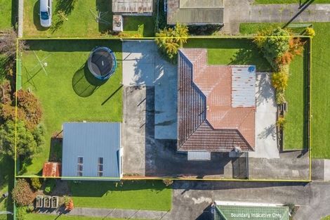 Photo of property in 29 Graham Street, Levin, 5510