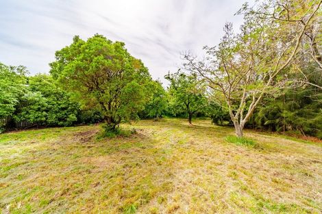 Photo of property in 9 Henderson Street, Otane, 4202