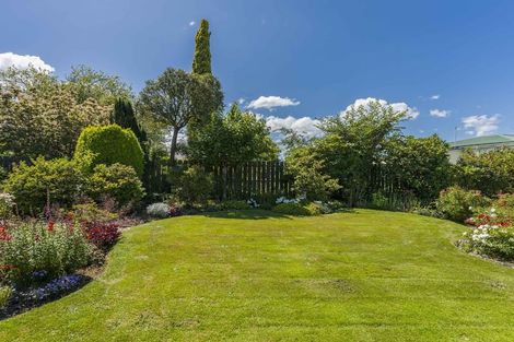 Photo of property in 14 Queen Street, Milton, 9220