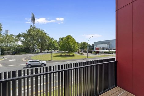 Photo of property in 216u6 Tristram Street, Hamilton Central, Hamilton, 3204
