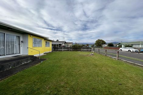 Photo of property in 21 Braemar Street, Levin, 5510