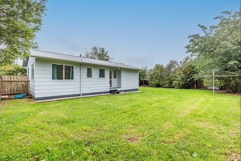 Photo of property in 45 Green Avenue, Levin, 5510