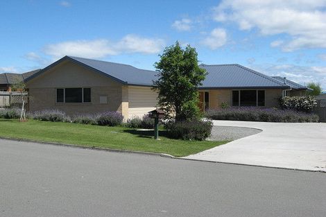 Photo of property in 16 Hillside Terrace, Witherlea, Blenheim, 7201