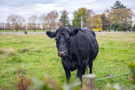 Photo of property in 831 Whitikahu Road, Whitikahu, Taupiri, 3792