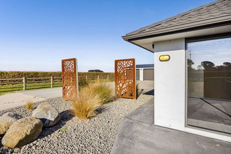 Photo of property in 105 Mawhitiwhiti Road, Normanby, Hawera, 4675