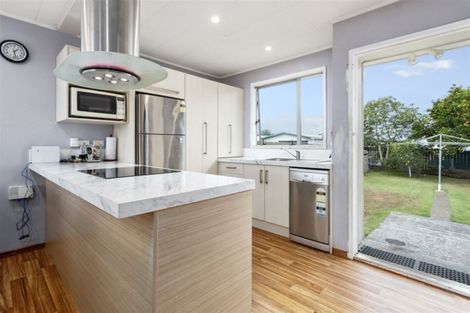 Photo of property in 438 Roscommon Road, Clendon Park, Auckland, 2103