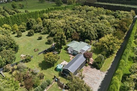 Photo of property in 151a Hereford Road, Oropi, Tauranga, 3173