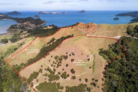 Photo of property in 95b Colville Road, Coromandel, 3584