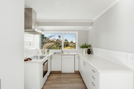 Photo of property in 62 Bell Street, Judea, Tauranga, 3110