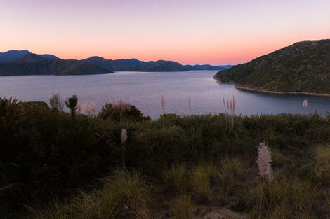 Photo of property in 318 Port Underwood Road, Whatamango Bay, Picton, 7281