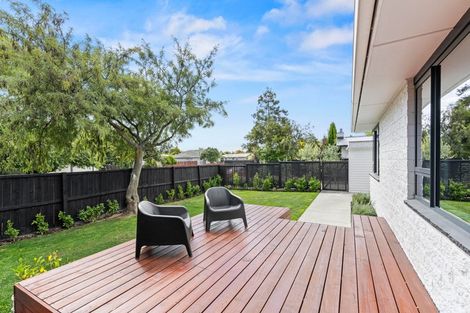 Photo of property in 17 Royleen Street, Casebrook, Christchurch, 8051