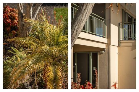 Photo of property in 224 Thames Coast Sh25 Road, Ngarimu Bay, Thames, 3575