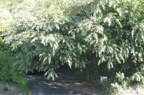 Photo of property in 19 Hempleman Drive, Akaroa, 7520