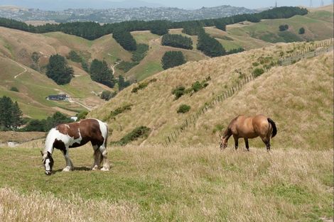 Photo of property in 1029 Ohariu Valley Road, Ohariu, Wellington, 6037