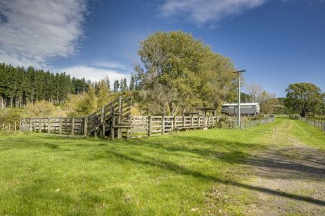 Photo of property in 888 Kakariki Farm Road, Kotemaori, 4188