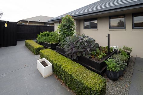 Photo of property in 7 Bennett Place, Allenton, Ashburton, 7700