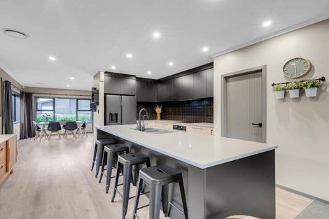 Photo of property in 13 Naismith Street, Chartwell, Hamilton, 3210