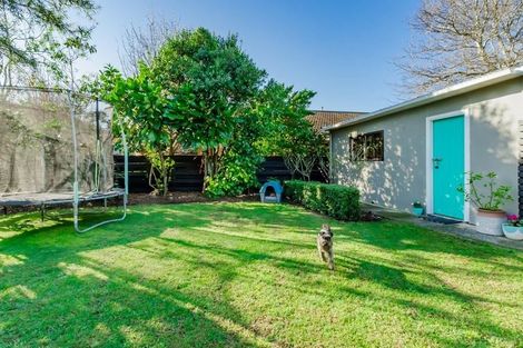 Photo of property in 16 Kanawa Street, Waikanae, 5036