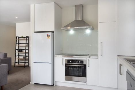Photo of property in Riverena Flats, 377 Barbadoes Street, Christchurch Central, Christchurch, 8011